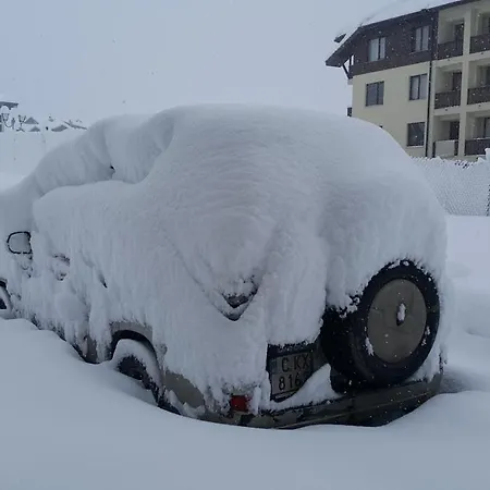 Snow Pearl & Free * Bansko
