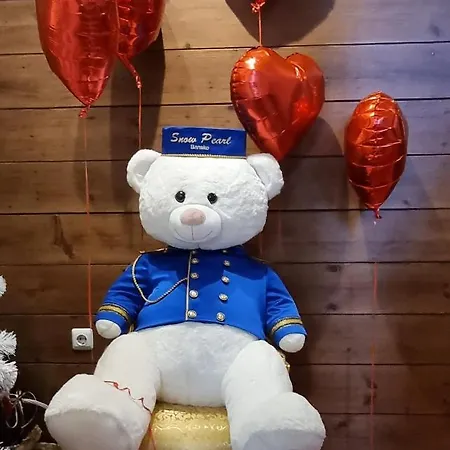 Snow Pearl & Free Apartment Bansko